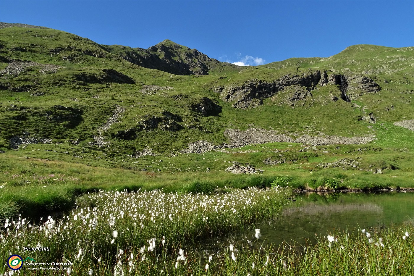91 Laghetto Foppe Basse (2183 m) con bianchi eriofori.JPG